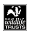 Visit the Wildlife Trusts website