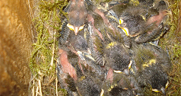 February Survey Reminder