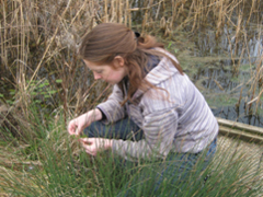 Phase 1 Habitat Survey
