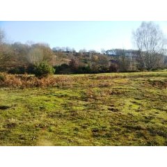 Natural England & Worcestershire County Council - Hartlebury Common SSSI Management Plan image 1