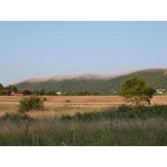 Biodiversity Survey of Malvern Hill ANOB image 1