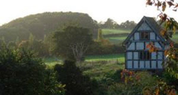 Worcestershire Wildlife Consultancy